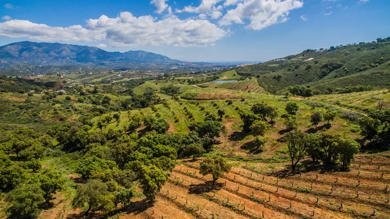 Land in , Andalucía 10860733